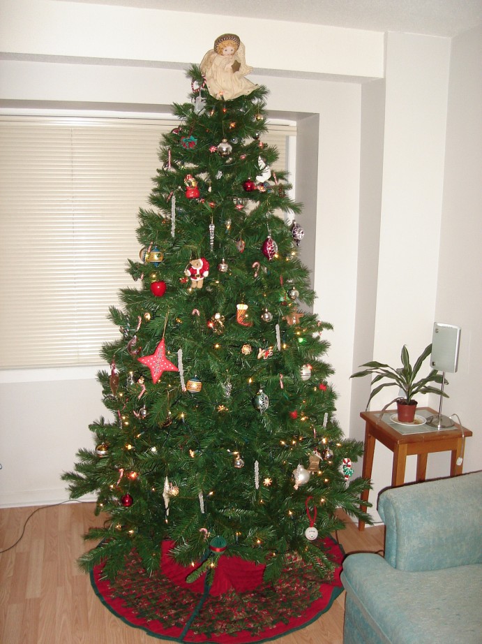 Post your Christmas tree! Toyota Celica Supra Forum